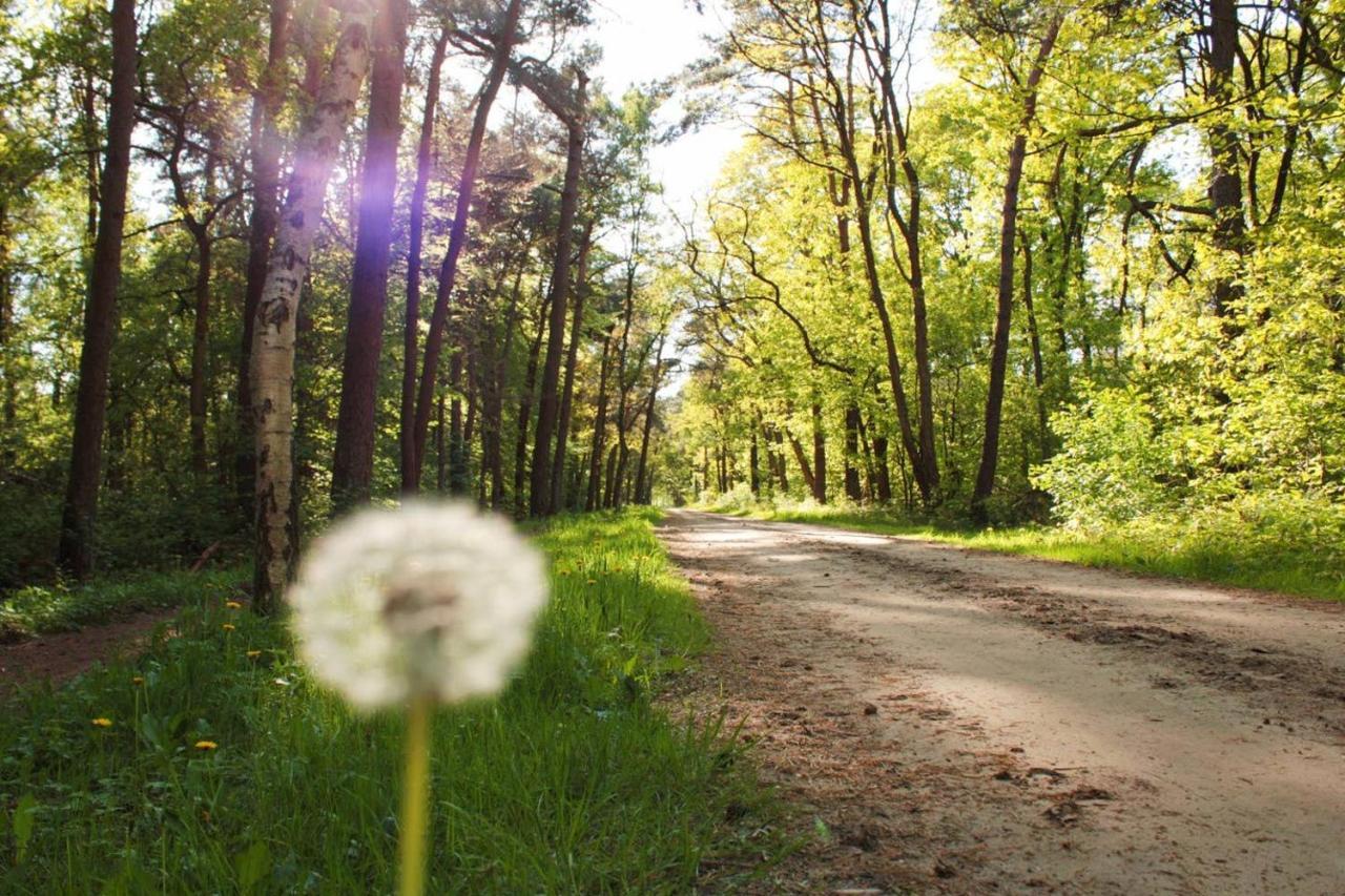 Natuurhuisje Even Niets Zelhem Exteriér fotografie
